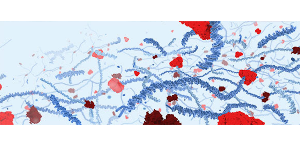 Simplify your NGS library prep with a fast, streamlined, 3-step protocol from Qiagen